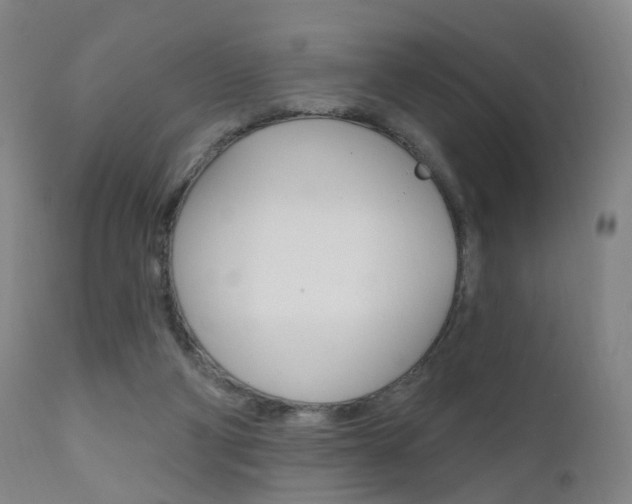 X0000111580114200907161206