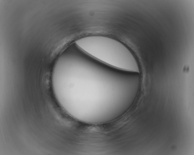 X0000111580115200907161206