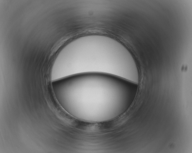X0000111580116200907161206
