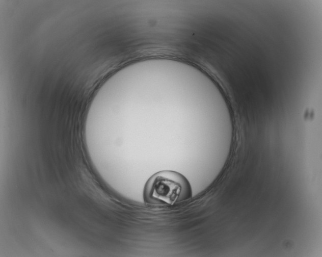 X0000111580117200907161206