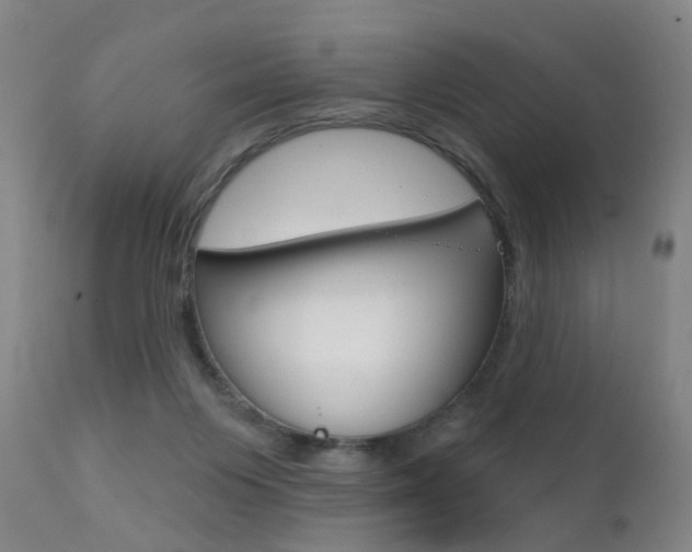 X0000111580119200907161206