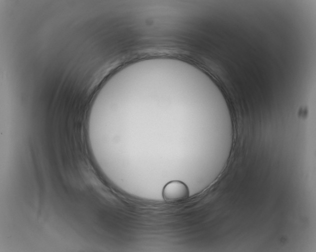 X0000111580120200907161206