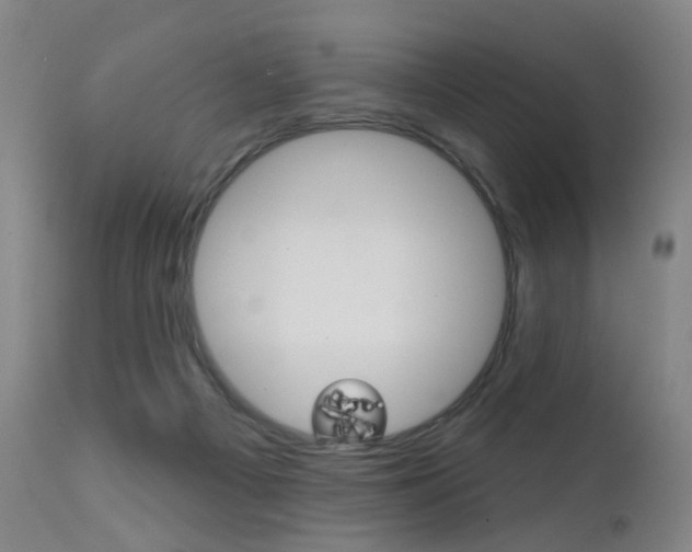 X0000111580121200907161206