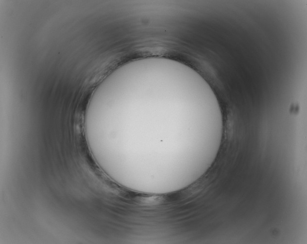 X0000111580122200907161206