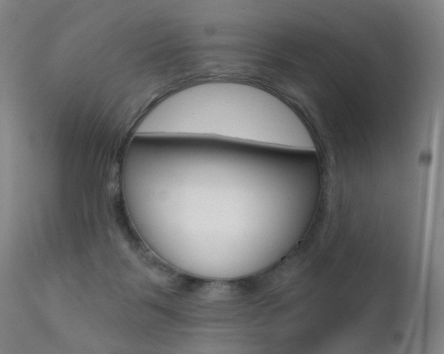 X0000111580123200907161206