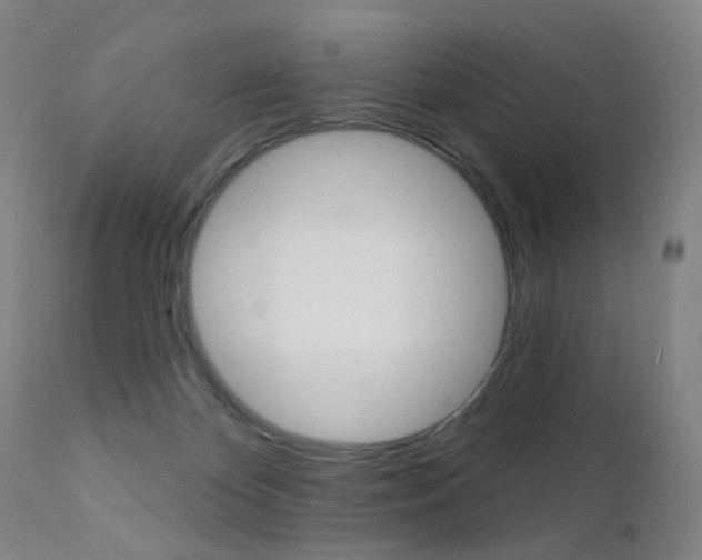 X0000111580124200907161206