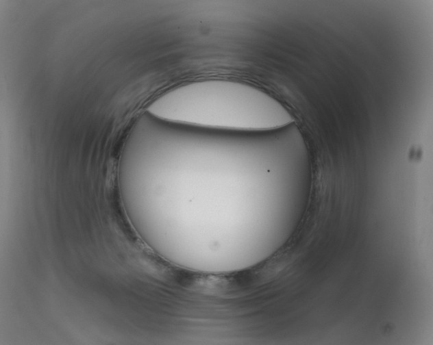 X0000111580125200907161206