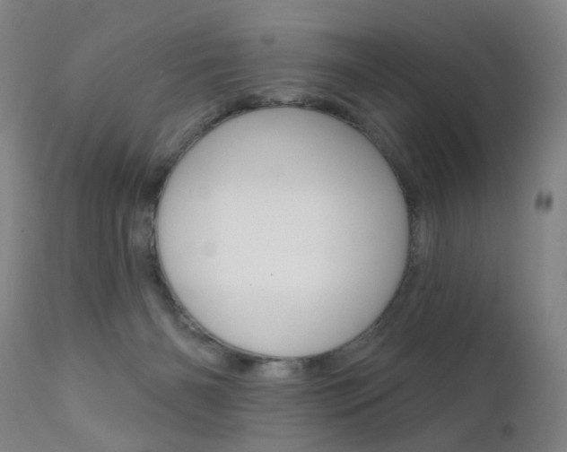 X0000111580126200907161206