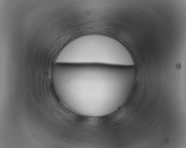 X0000111580127200907161206