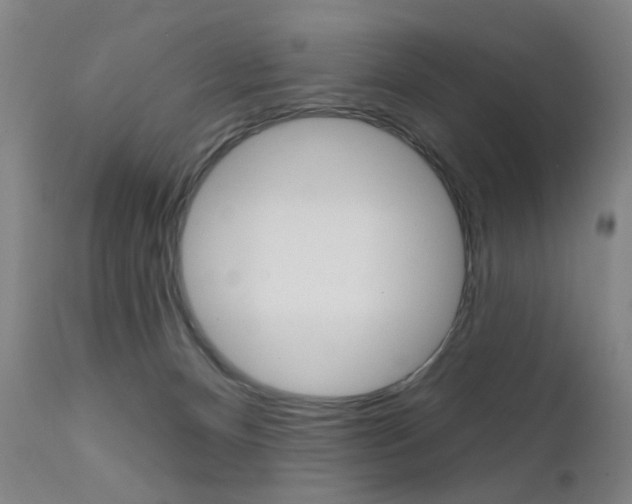 X0000111580128200907161206