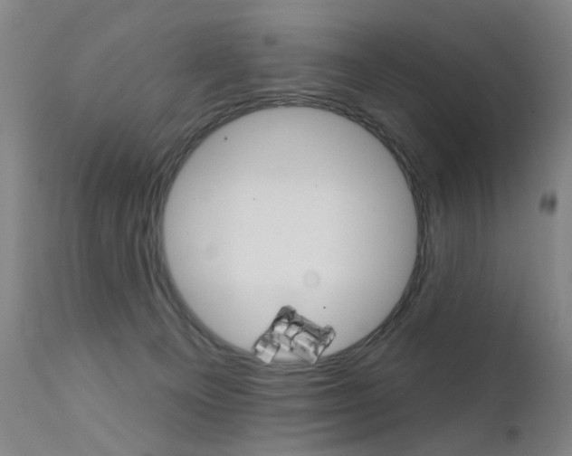 X0000111580129200907161206