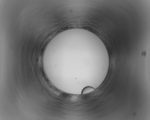 X0000111580130200907161206