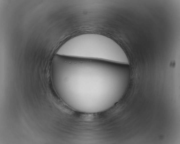 X0000111580131200907161206