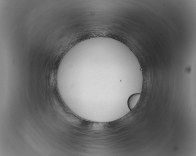X0000111580134200907161206