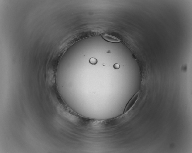 X0000111580136200907161206