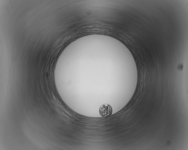 X0000111580137200907161205
