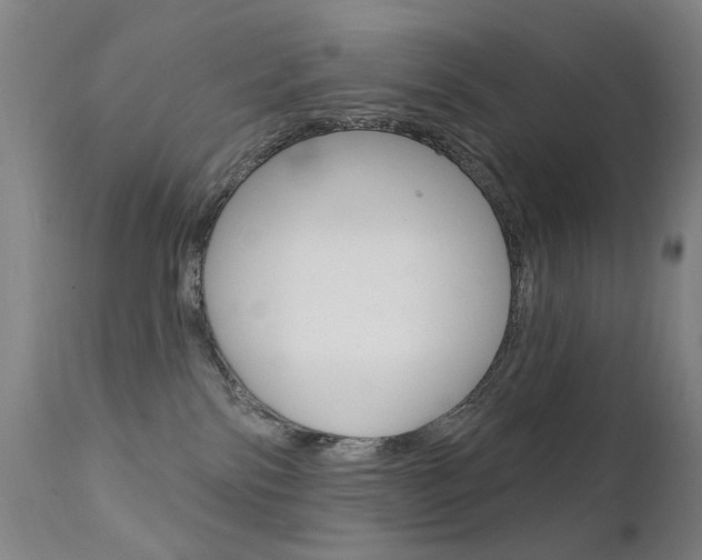 X0000111580138200907161205