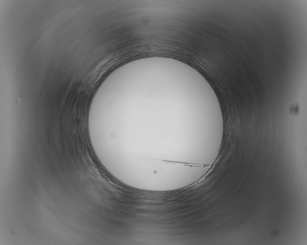 X0000111580140200907161205