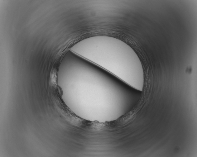X0000111580143200907161205