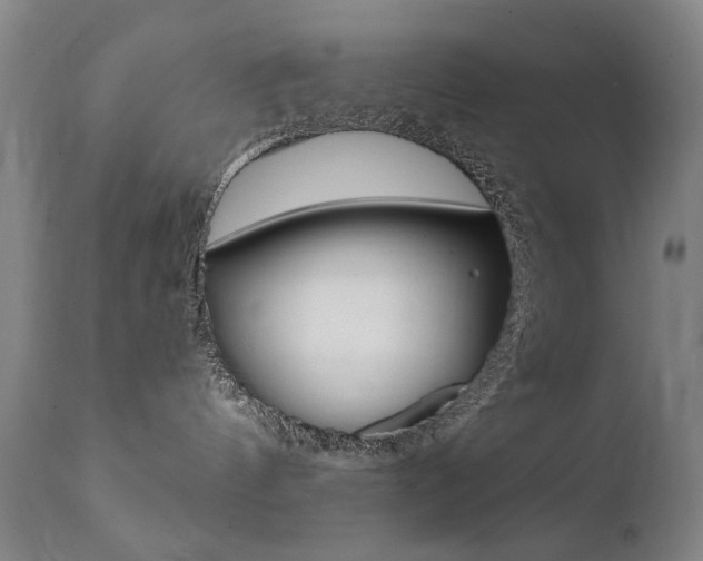 X0000111580144200907161205