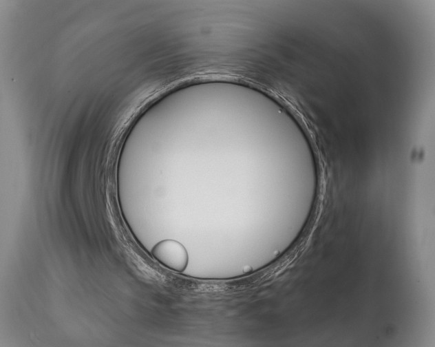 X0000111580145200907161204