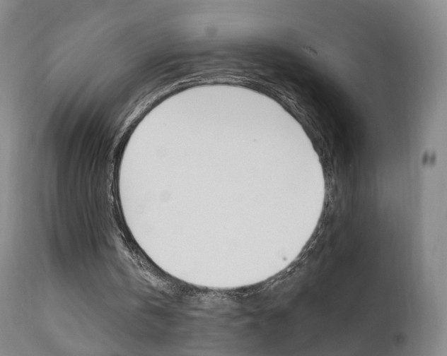 X0000111580146200907161204