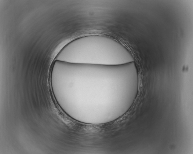 X0000111580147200907161204