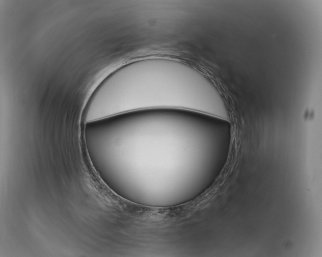 X0000111580148200907161205