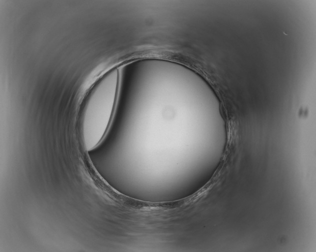X0000111580150200907161205