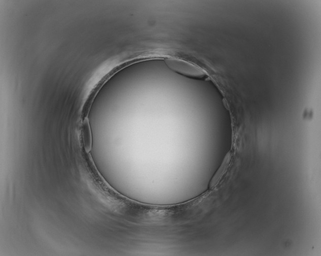 X0000111580152200907161205
