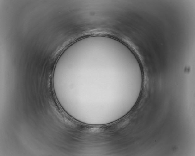 X0000111580153200907161205