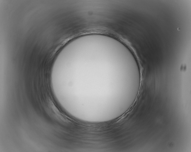 X0000111580154200907161205