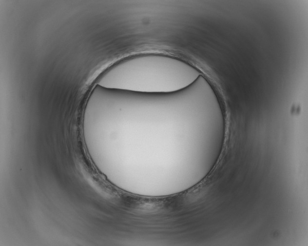 X0000111580155200907161205