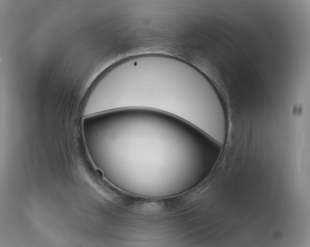 X0000111580156200907161205