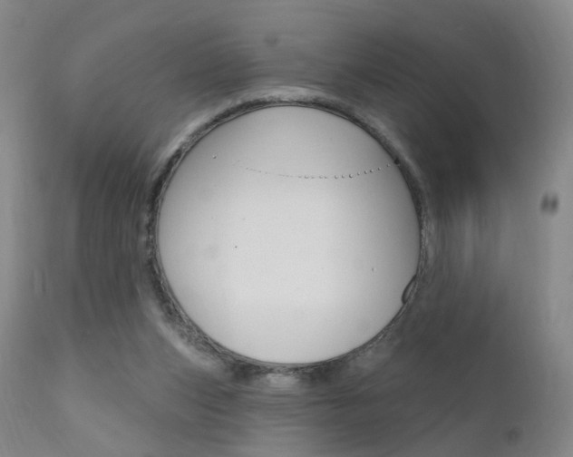 X0000111580159200907161205