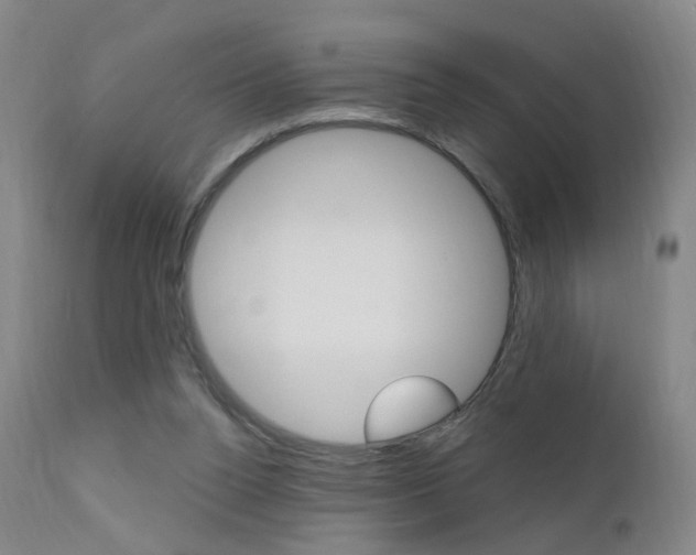 X0000111580160200907161205