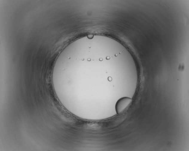 X0000111580161200907161205