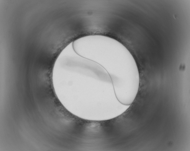 X0000111580162200907161205