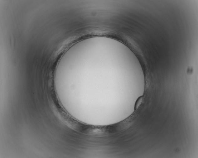 X0000111580163200907161205