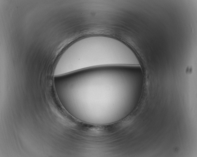 X0000111580164200907161205
