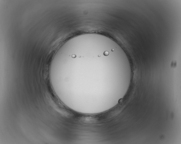 X0000111580165200907161205