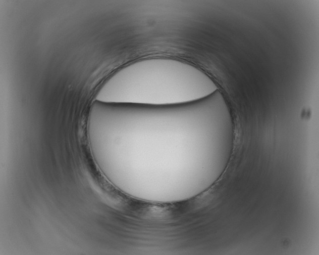 X0000111580166200907161205