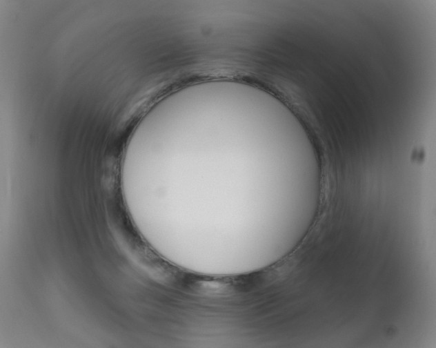 X0000111580167200907161205