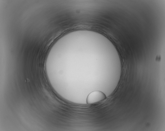 X0000111580168200907161205