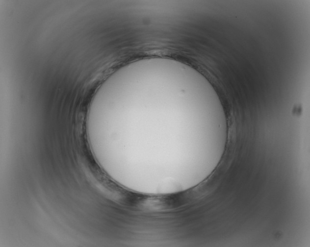 X0000111580171200907161205