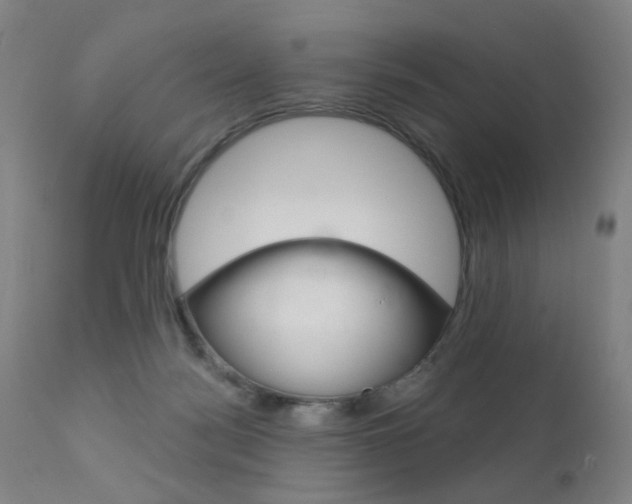 X0000111580172200907161205