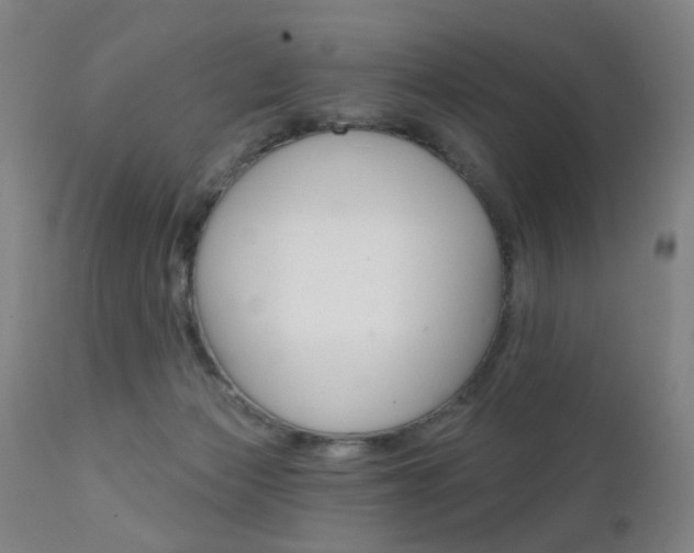 X0000111580173200907161205