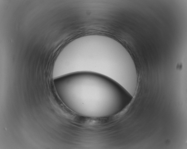 X0000111580174200907161205