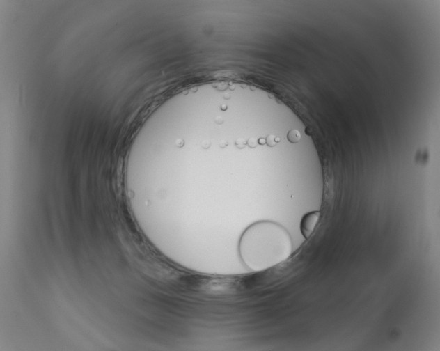 X0000111580175200907161205