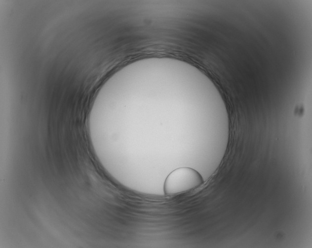 X0000111580176200907161205